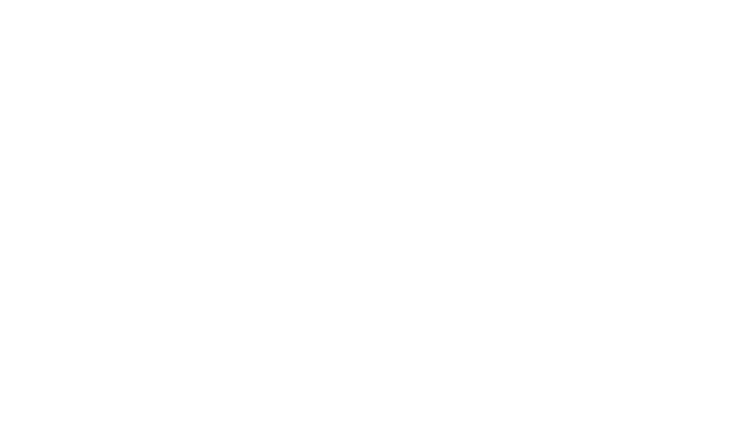 Lake Hickory Security